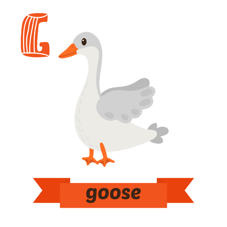Goose. G letter. Cute children animal alphabet in vector. Funny cartoon animals. Vector illustrationのイラスト素材