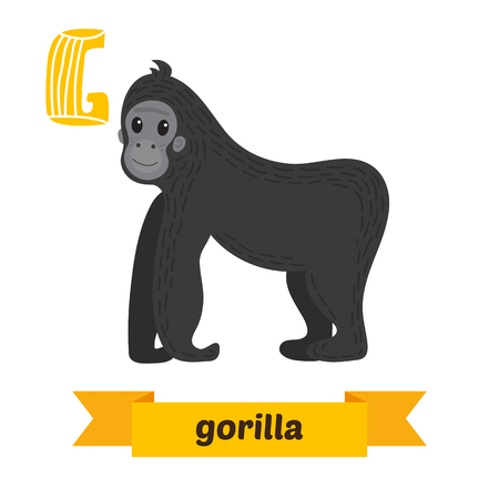 Gorilla. G letter. Cute children animal alphabet in vector. Funny cartoon animals. Vector illustrationのイラスト素材