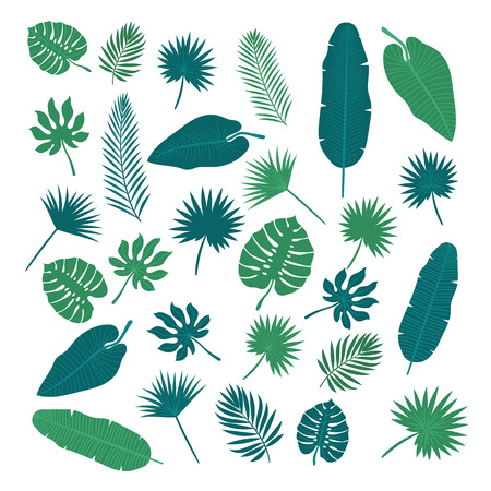 Collection of tropical leaves. Nature elements for your design.のイラスト素材