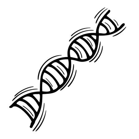 Hand drawn DNA outline icon isolated on white background. DNA spiral line. vector illustrationのイラスト素材