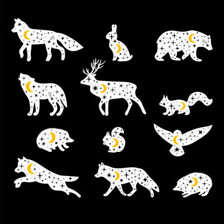 Celestial forest animals. universe. hand drawn silhouettes. Wild woodland animals.Totem. vector illustrationのイラスト素材