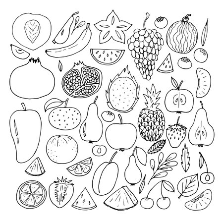 Big set of hand drawn fruit and berries icons. Summer fruit collection. Sketch, doodle style. Vector illustrationのイラスト素材
