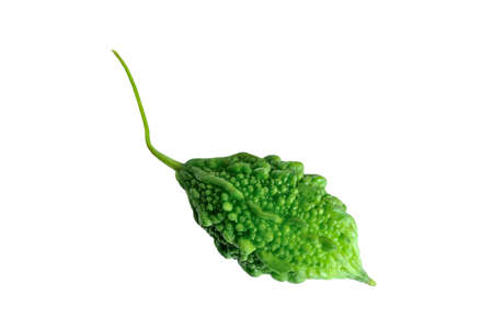 Bitter gourd is a healthy one.の写真素材