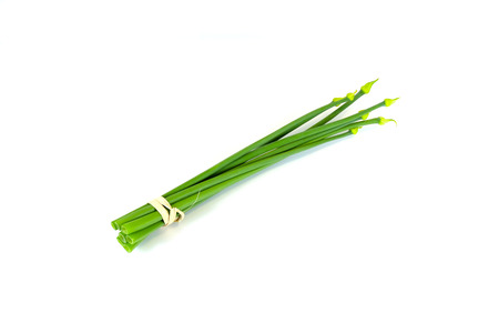 Fragrant flowers were tied bouquet is so easy to sell without scales.の写真素材