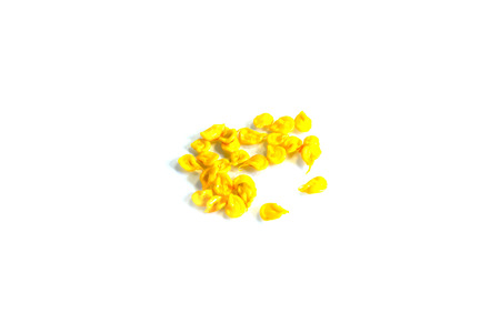 The seeds of pepper can be extended by interbreeding.の写真素材