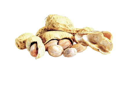 Beans that have not peel off. I have seen very little space to store it.の写真素材