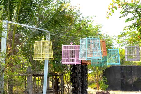He was hanging bird cage lining a bird cage within a cage, without even a single enclosure.の写真素材