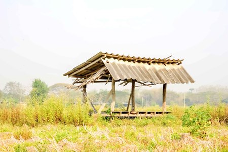 Farmers in Thailand have built huts in the rice to rest during lunch break.の写真素材