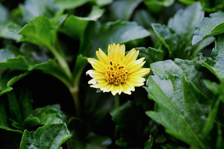 Wildflowers start blooming and colorful forests more attractive.