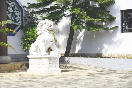 Stucco Chinese lion was placed at the square.の写真素材