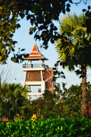 The tower was built high off the ground to take advantage of many of them is one of Tuscany's scenic beauty of nature and other buildings.の写真素材