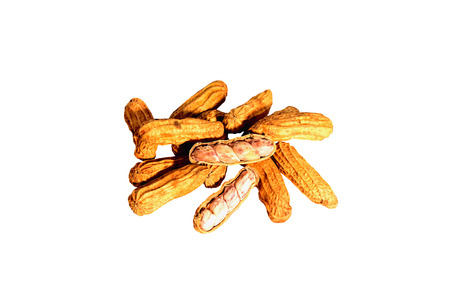 Peanuts were placed on a white background.の写真素材