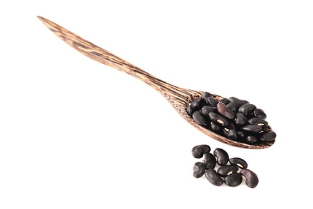 Black beans have been placed on a white background.の写真素材