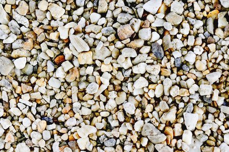 Several small rocks were laid on the ground.