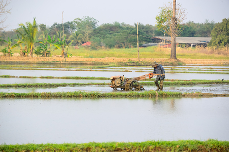Farmers are plowing with walking tractors to prepare space for planting rice.の写真素材