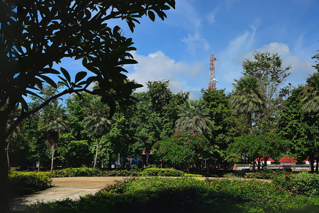 The telephone pole is mounted close to the community to provide strong signal and easy maintenance.の写真素材