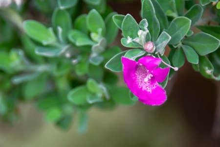 The pattern on the surface of the paper is a spontaneous pattern according to the nature of the material used for production.の写真素材