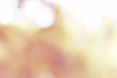 rose gold festive abstract bokeh backgroundの写真素材
