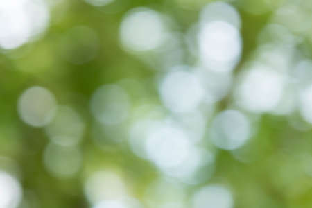 abstract green bokeh backgroundの写真素材