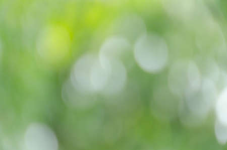 Abstract circular green bokeh backgroundの写真素材