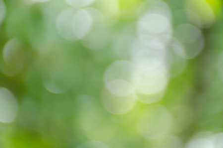 Abstract circular green bokeh backgroundの写真素材