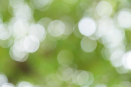 abstract green bokeh backgroundの写真素材