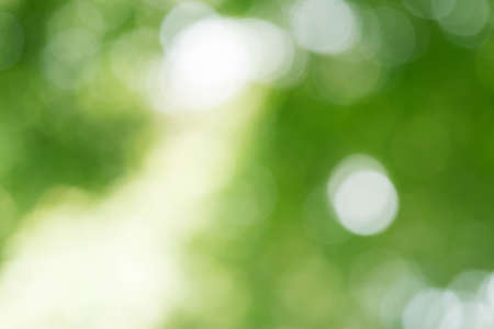 Green Bokeh Backgroundの写真素材