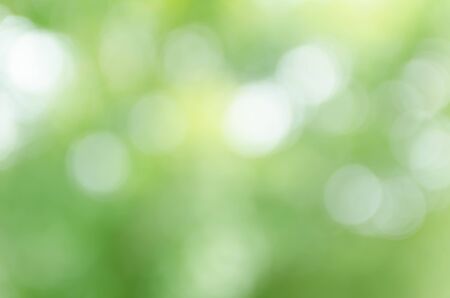 Natural Green bokeh backgroundの写真素材