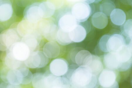 Green bokeh on nature defocus art abstract blur backgroundの写真素材