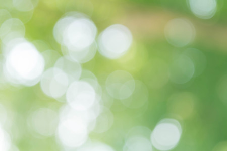 Bokeh on green backgroundの写真素材