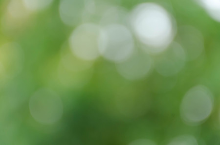 green bokeh abstract light backgroundの写真素材