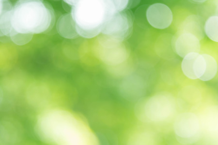 green bokeh backgroundの写真素材
