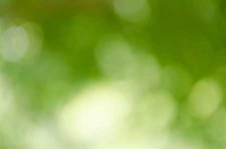 bokeh blurry natural abstract green backgroundの写真素材