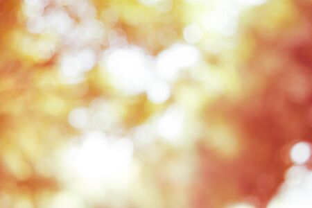 Abstract Bokeh Lights on Orange Backgroundの写真素材