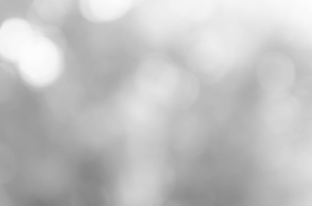 Gray bokeh out of focus background from nature forestの写真素材