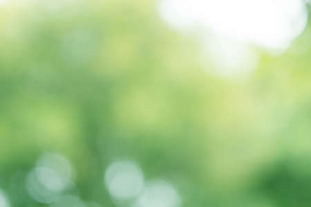 green bokeh backgroundの写真素材