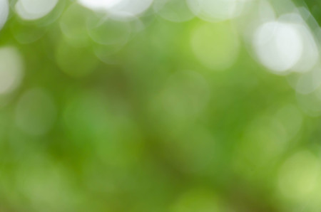 bokeh blurry natural abstract green backgroundの写真素材