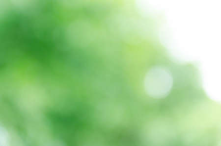 Abstract green bokeh backgroundの写真素材