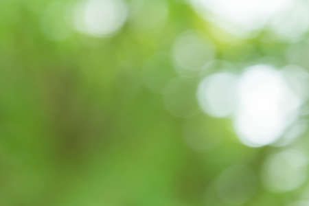 Abstract bokeh and blurred colorful nature backgroundの写真素材