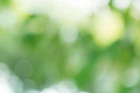 Abstract bokeh and blurred colorful nature backgroundの写真素材