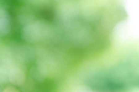 Abstract green bokeh backgroundの写真素材