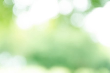 Natural Green bokeh backgroundの写真素材