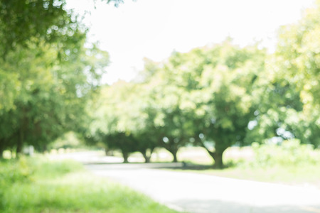 Abstract bokeh and blurred colorful nature backgroundの写真素材