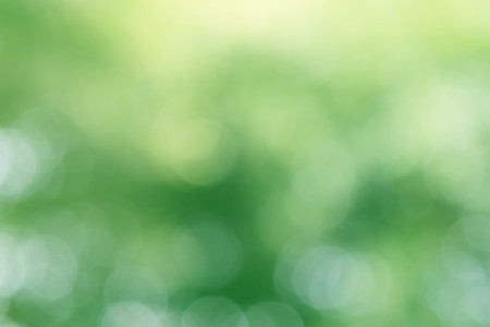 Abstract bokeh and blurred colorful nature backgroundの写真素材