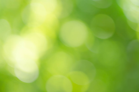 Abstract natural green bokeh background