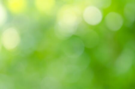 green bokeh from treeの写真素材