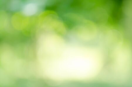 green bokeh from treeの写真素材