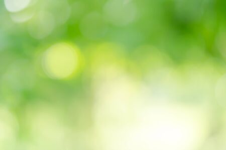 green bokeh from treeの写真素材