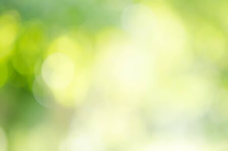 green bokeh from treeの写真素材