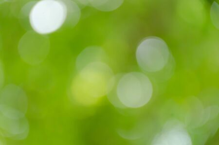 Abstract circular green bokeh backgroundの写真素材